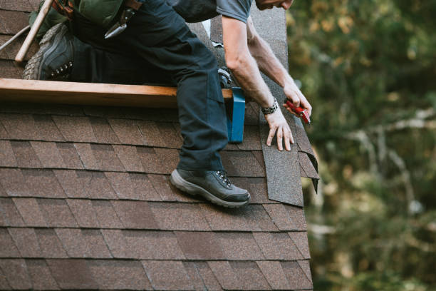 Quick and Trustworthy Emergency Roof Repair Services in Pelion, SC